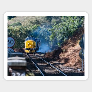 Class 37 Leaf clearing Sticker